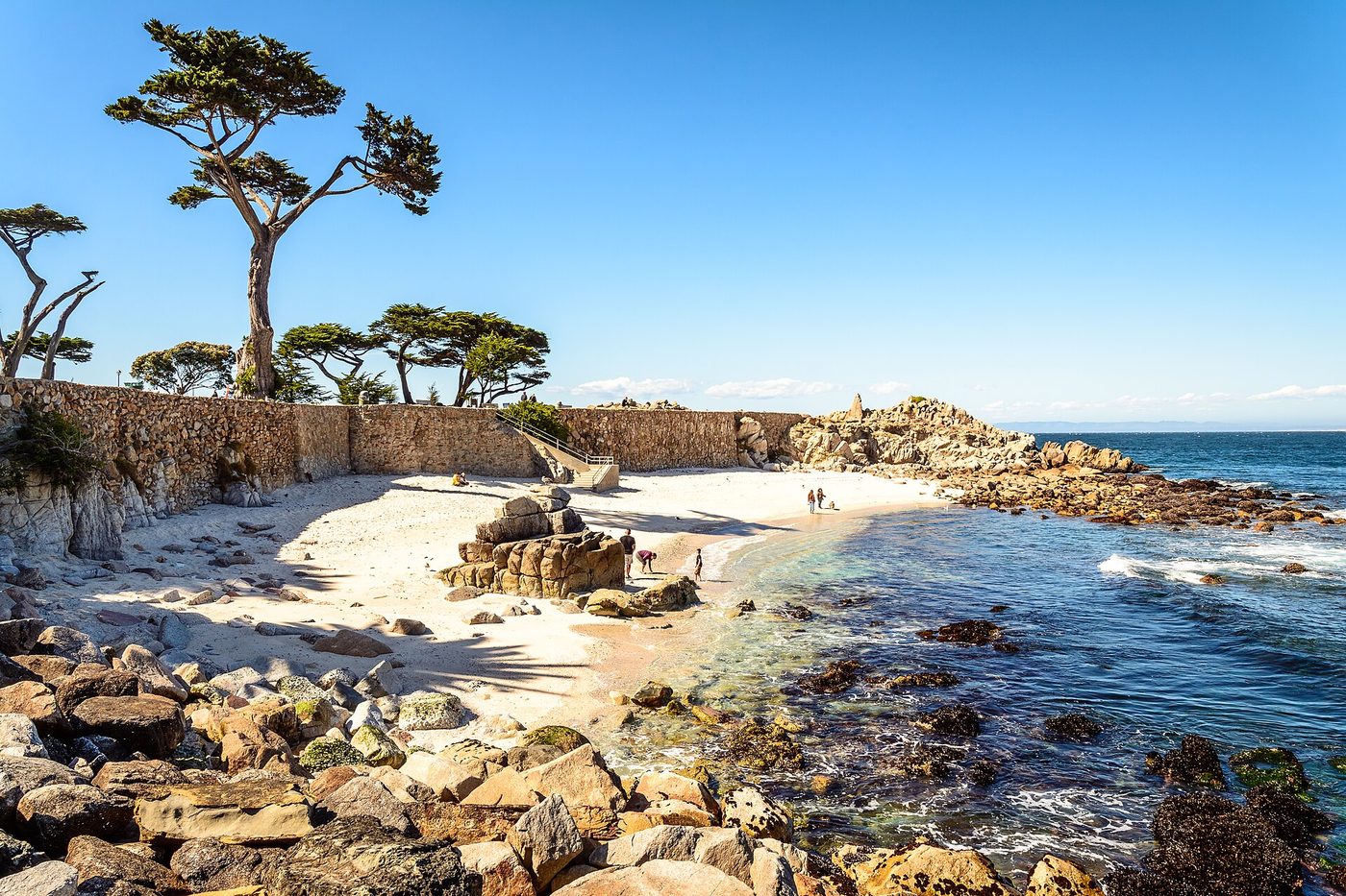The sheltered cove and rocky point at Lovers Point Park in Pacific Grove, framed by wind-shaped cypress trees